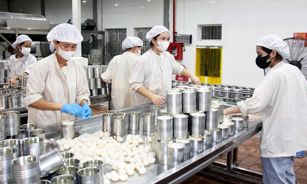  Vải thiều Lục Ngạn